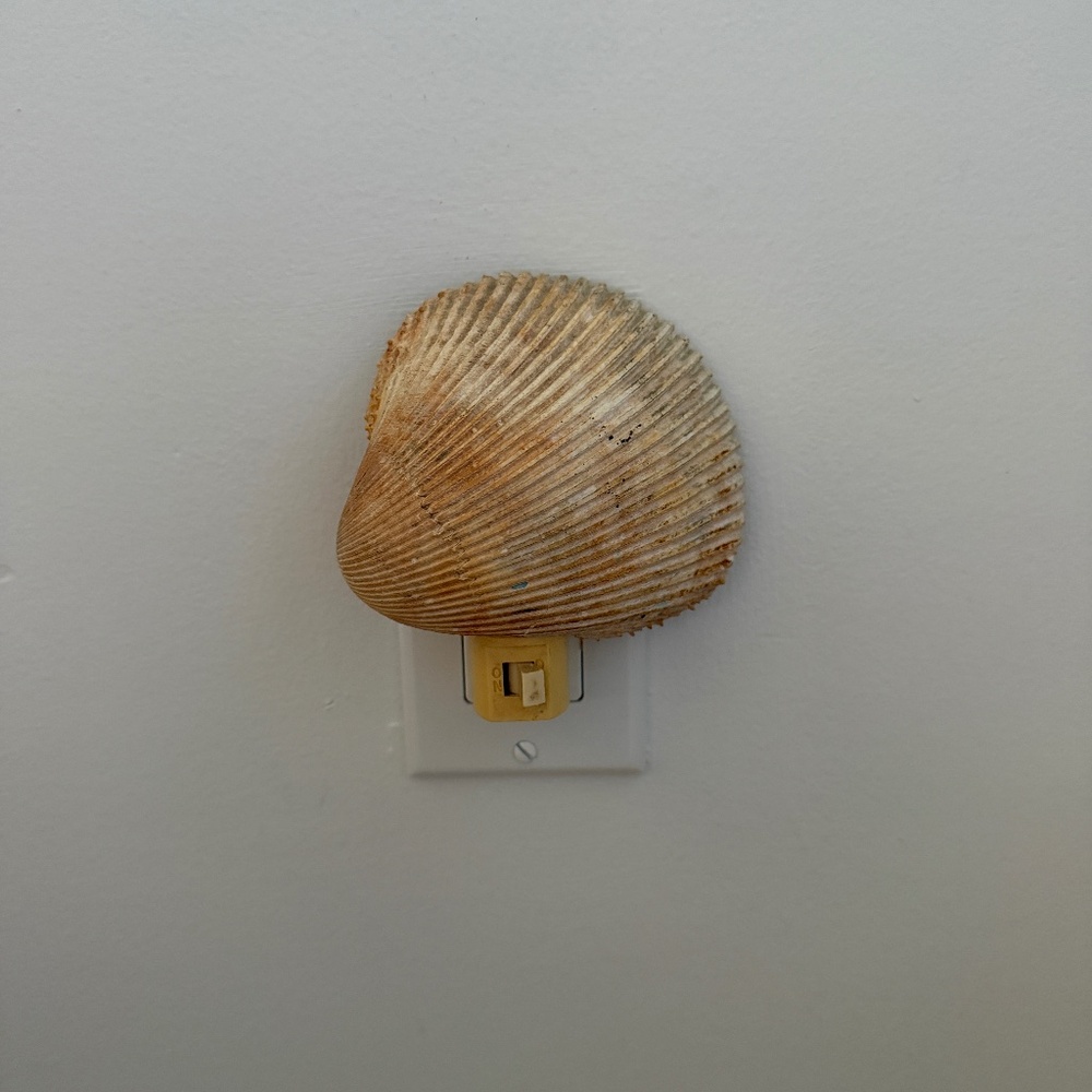 Seashell night light